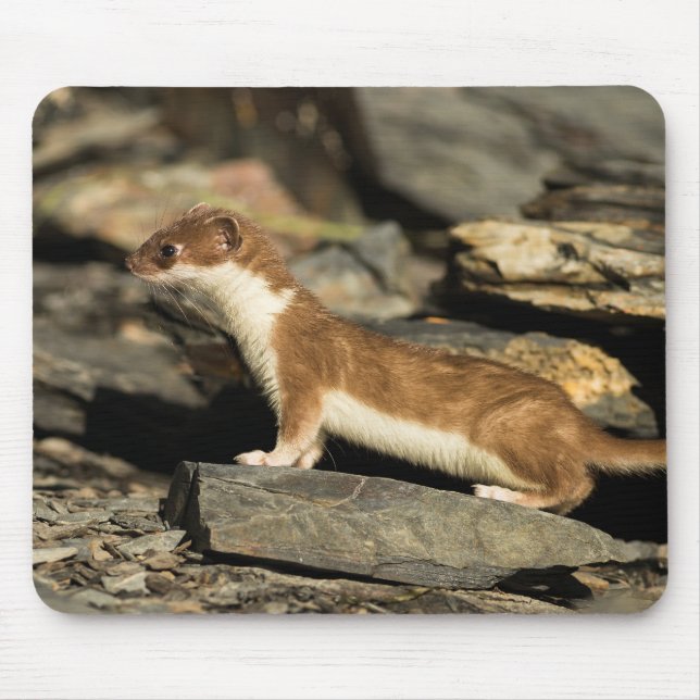 Hunting Weasel Mouse Mat (Front)