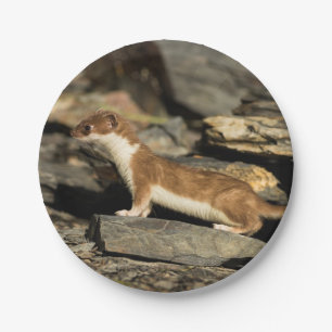Hunting Weasel Paper Plate