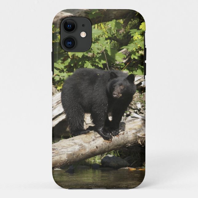 Hunting Wild Black Bear Wildlife Photo Case-Mate iPhone Case (Back)