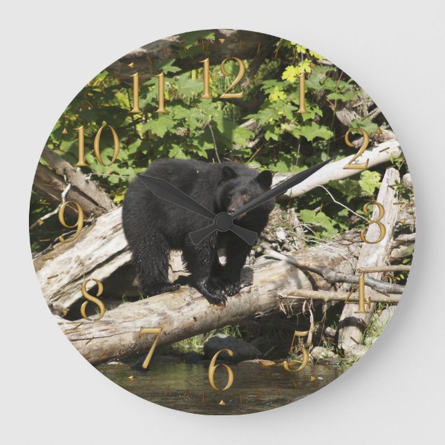 Hunting Wild Black Bear Wildlife Photo Wall Clock (Front)