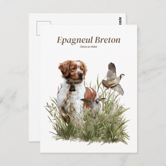 Hunting with a Brittany dog, Art  Postcard (Front/Back)