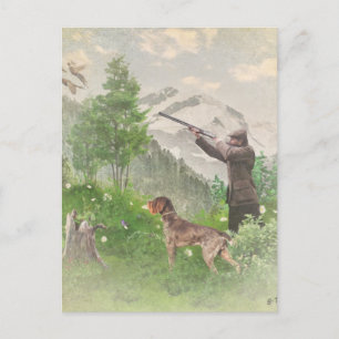Hunting with German Wirehaired Pointer  Postcard
