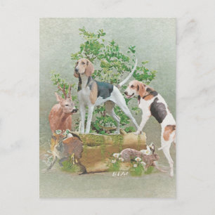 Hunting with hounds     postcard