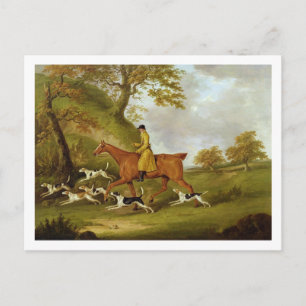 Huntsman and Hounds, 1809 (oil on canvas) Postcard