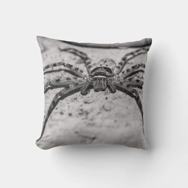 Huntsman Spider Cushion (Front)