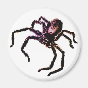Huntsman Spider Magnet