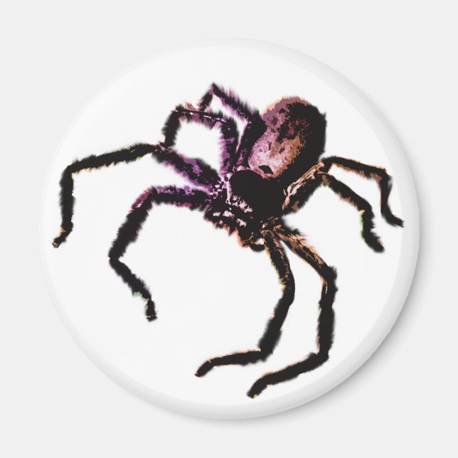 Huntsman Spider Magnet (Front)