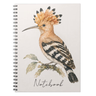 Huppe notebook aquarelle