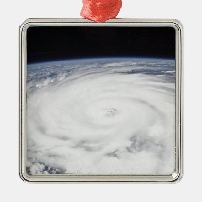 Huricane Igor Metal Tree Decoration (Front)