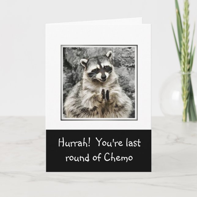 Hurrah!  Cute Racoon Clapping Funny Last Chemo Holiday Card (Front)