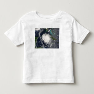 Hurricane Charley 2 Toddler T-Shirt