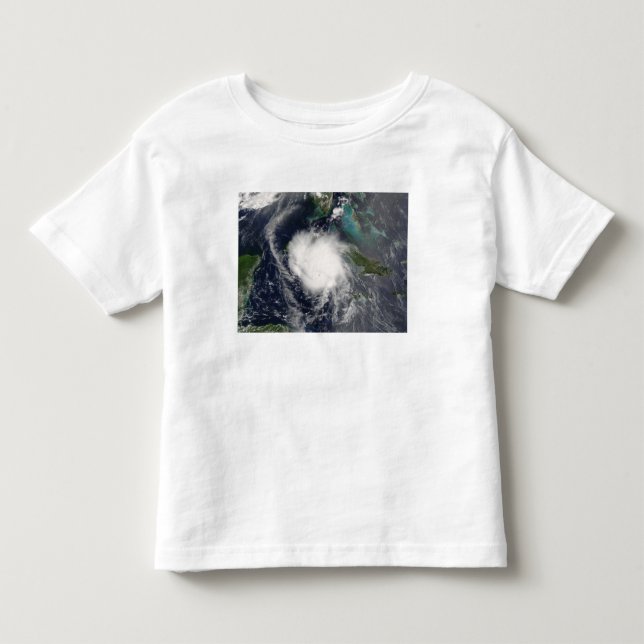 Hurricane Charley 2 Toddler T-Shirt (Front)