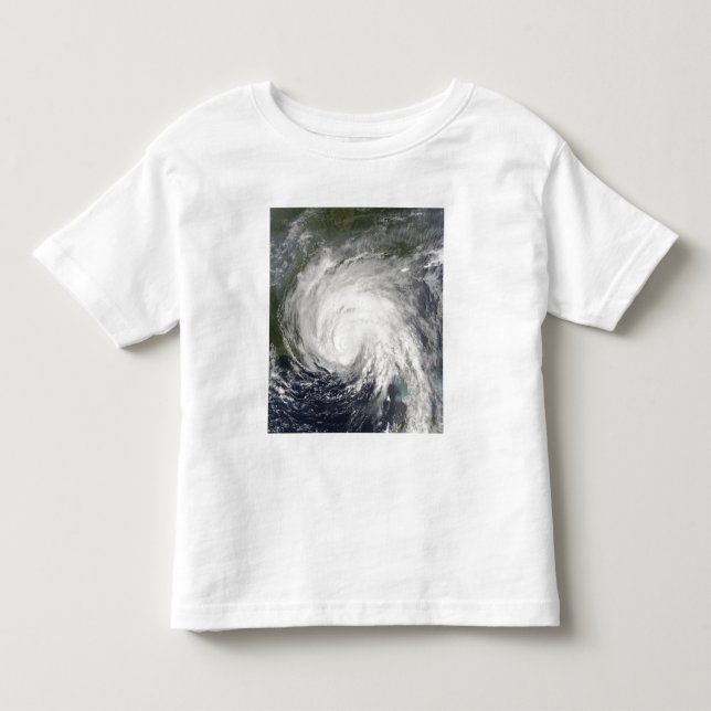 Hurricane Dennis Toddler T-Shirt (Front)