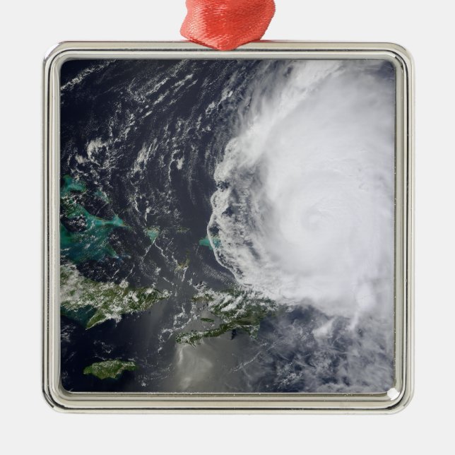 Hurricane Earl 2 Metal Tree Decoration (Front)