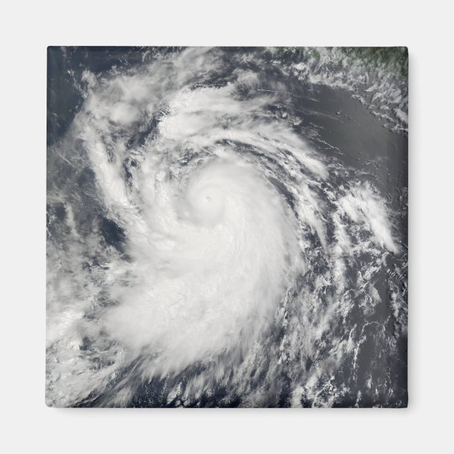 Hurricane Elida Magnet (Front)