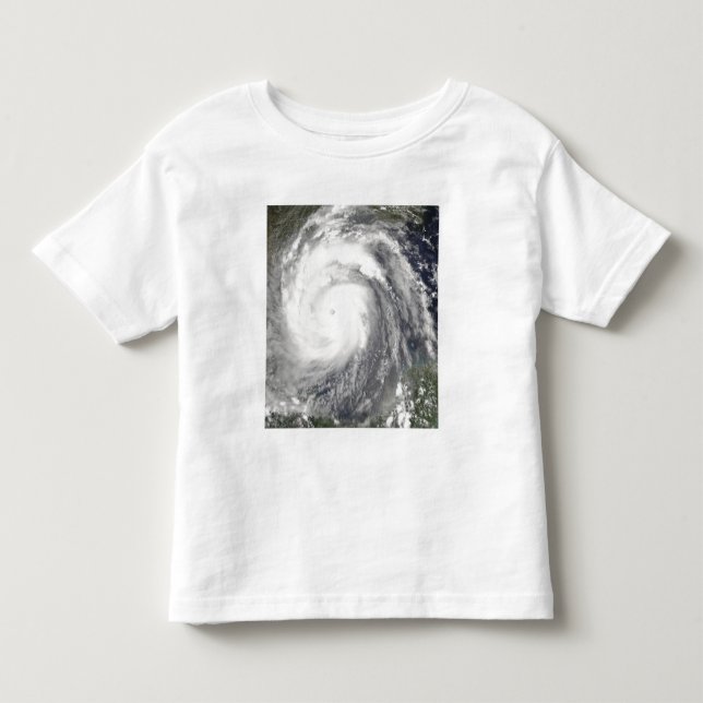 Hurricane Emily Toddler T-Shirt (Front)