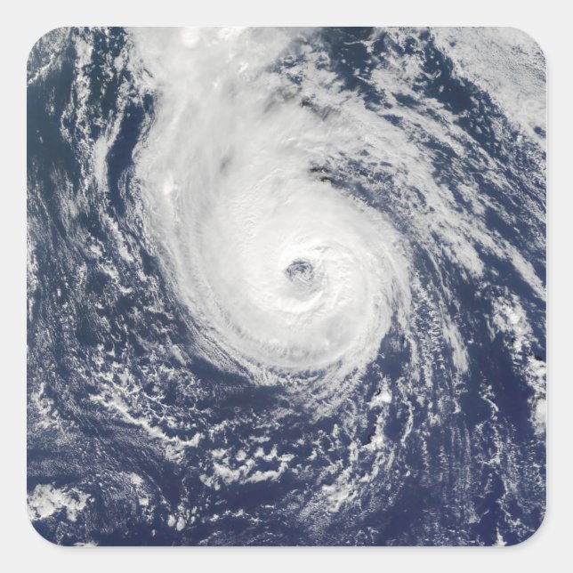 Hurricane Epsilon Square Sticker (Front)