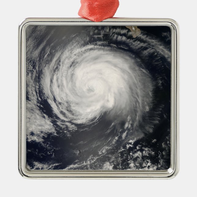 Hurricane Fausto Metal Tree Decoration (Front)