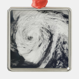 Hurricane Florence Metal Tree Decoration