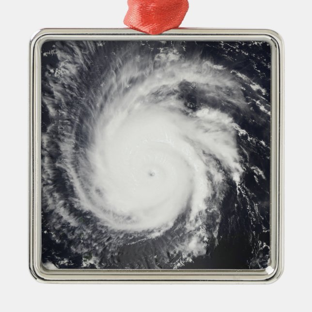 Hurricane Frances Metal Tree Decoration (Front)