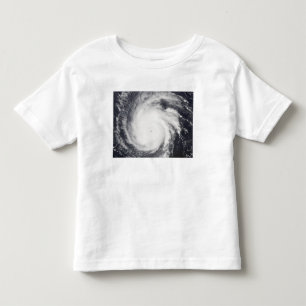 Hurricane Frances Toddler T-Shirt