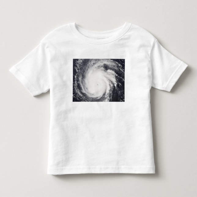 Hurricane Frances Toddler T-Shirt (Front)