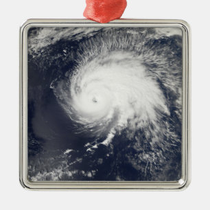 Hurricane Gordon Metal Tree Decoration
