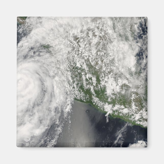 Hurricane Henriette Magnet (Front)