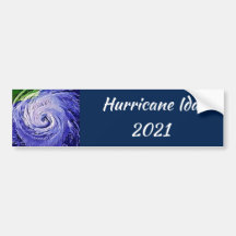 Hurricane Ida 2021 Car