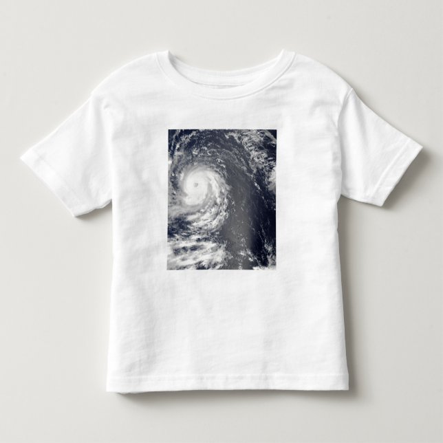 Hurricane Igor 2 Toddler T-Shirt (Front)