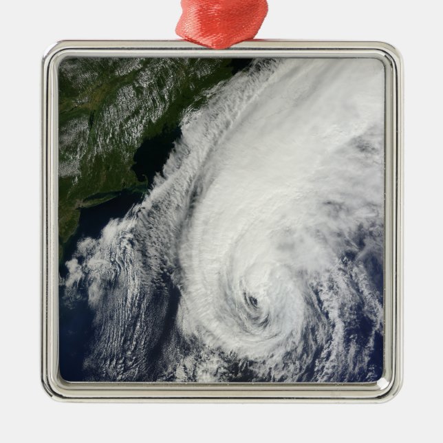 Hurricane Igor Metal Tree Decoration (Front)