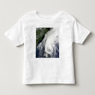 Hurricane Igor Toddler T-Shirt