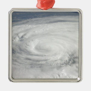 Hurricane Ike 10 Metal Tree Decoration