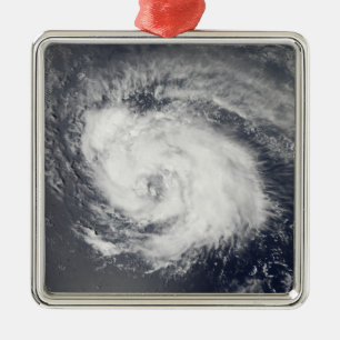 Hurricane Ike 3 Metal Tree Decoration