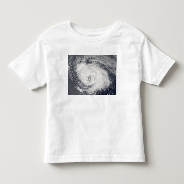 Hurricane Ike 3 Toddler T-Shirt (Front)
