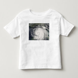 Hurricane Ike 4 Toddler T-Shirt