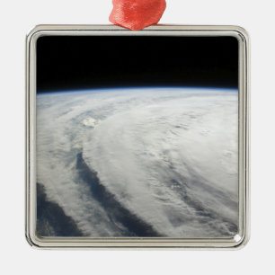 Hurricane Ike 7 Metal Tree Decoration