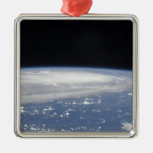 Hurricane Ike 8 Metal Tree Decoration