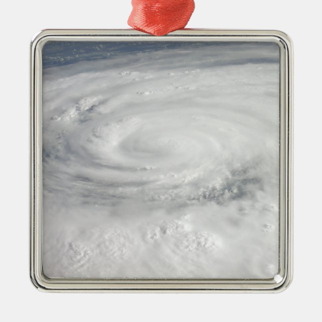 Hurricane Ike Metal Tree Decoration (Front)