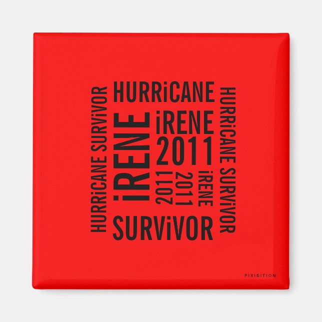 Hurricane Irene Survivor Flag Magnet 5 (Front)