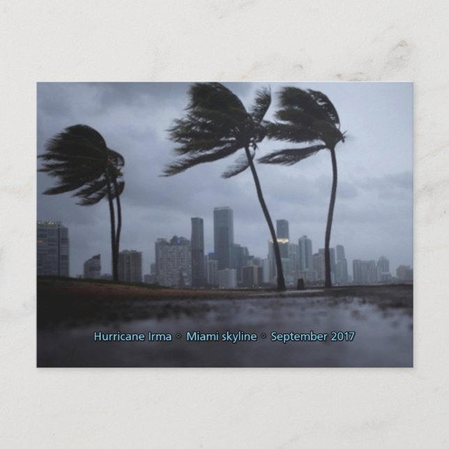 Hurricane Irma Miami skyline Postcard (Front)