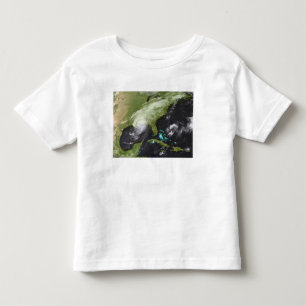 Hurricane Katrina 4 Toddler T-Shirt