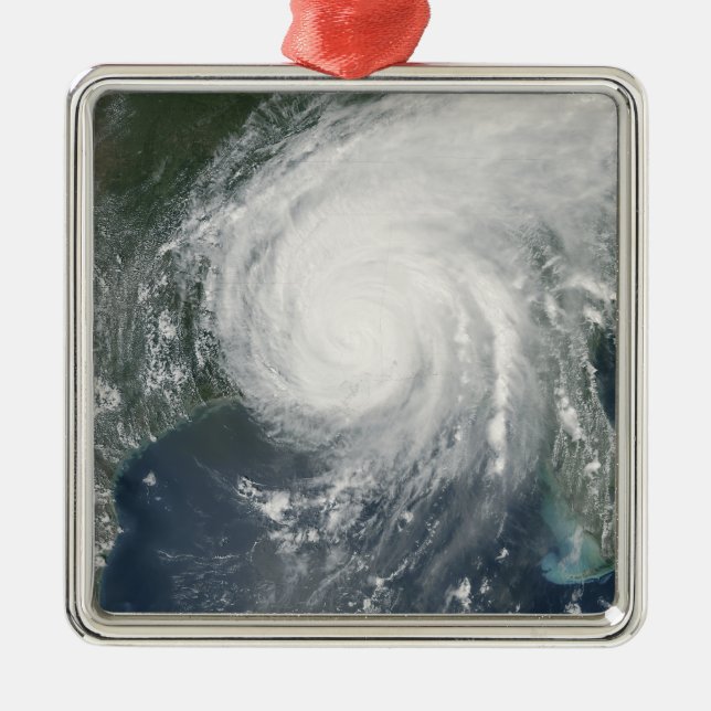 Hurricane Katrina Metal Tree Decoration (Front)