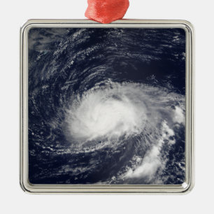 Hurricane Kyle Metal Tree Decoration