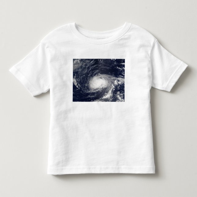 Hurricane Kyle Toddler T-Shirt (Front)