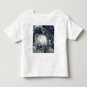 Hurricane Lili 4 Toddler T-Shirt