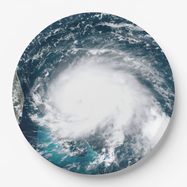 Hurricane off the coast of Florida   Paper Plate (Front)