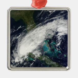 Hurricane Paula 2 Metal Tree Decoration