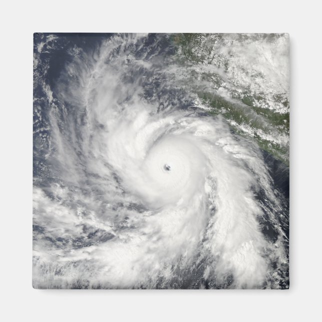 Hurricane Rick Magnet (Front)