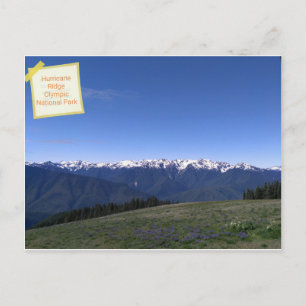 Hurricane Ridge in Olympic National Park postcard